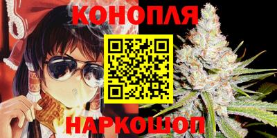 твердый Пугачёв