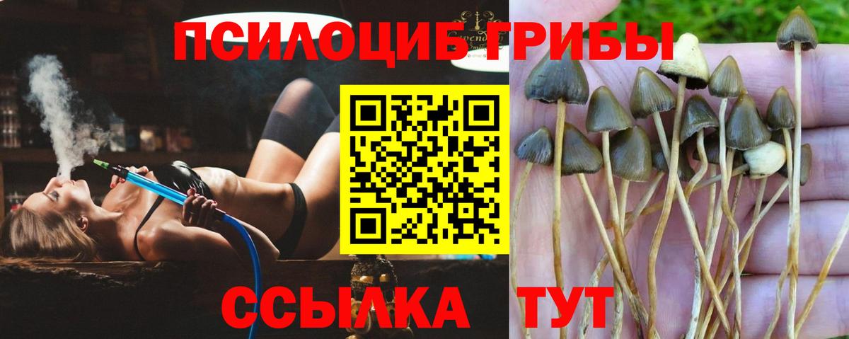Псилоцибиновые грибы MAGIC MUSHROOMS  Вход с VPN  Галлюциногенные грибы мицелий  Ростов-на-Дону 